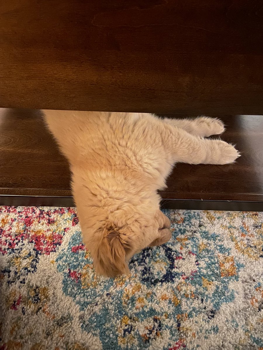 He was not interested in my fishbowl discussion. #EDLR5402