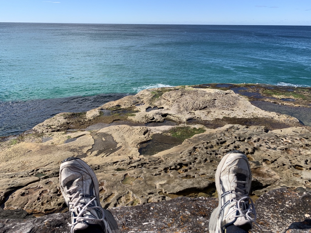 thatmetalman's tweet image. Listening to @dvntownsend’s #OceanMachine as I look out to sea. Seems appropriate. #Australia 🤘🏻