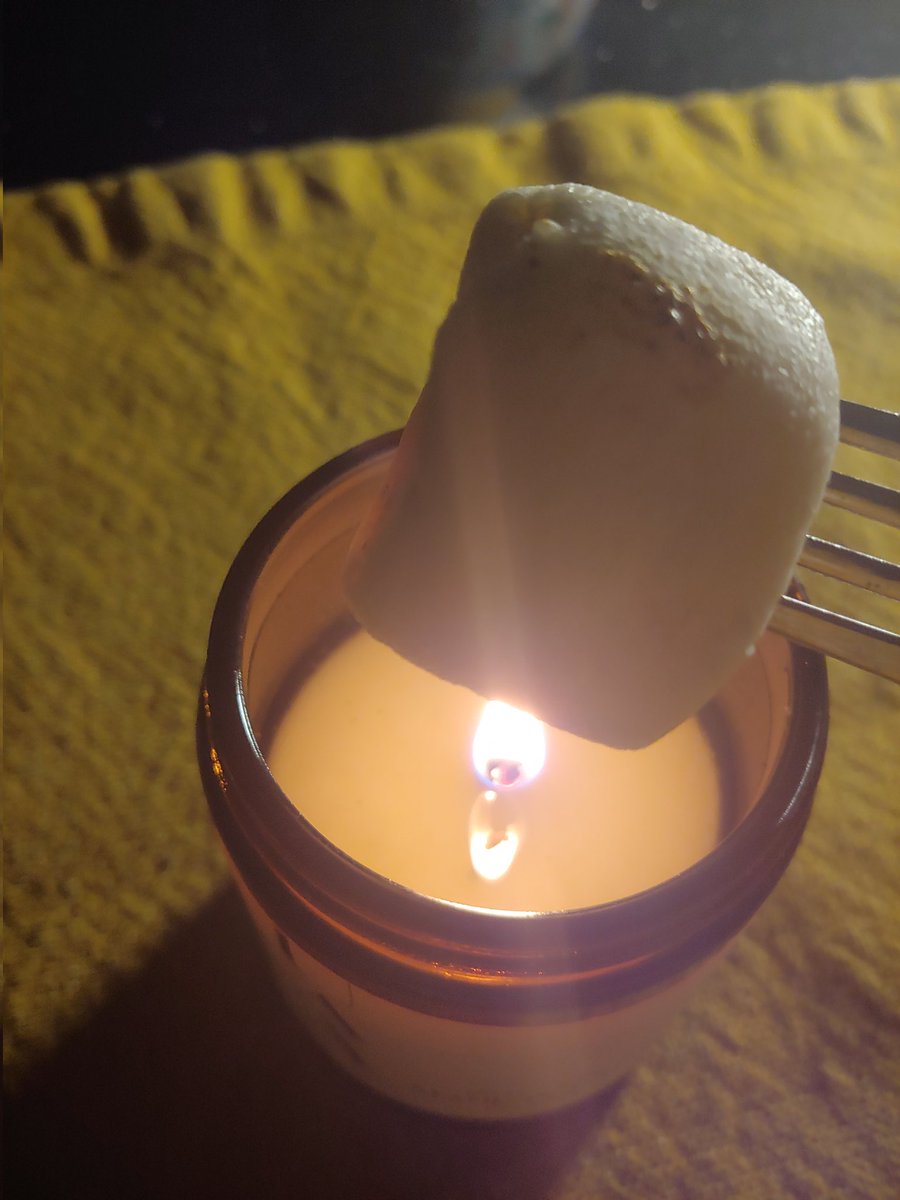 WritesEliza's tweet photo. The power has been out for three hours and counting; I'm keeping the PTSD at bay by pretending I'm camping. It's mostly working? https://t.co/FlliwETxDM