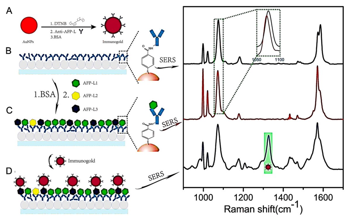 chemosens_MDPI's tweet image. Biomarkers Determination Based on Surface-Enhanced Raman Scattering
by Chao Song, Young Mee Jung et al. 
@MDPIOpenAccess  @Official_KNU Jilin Normal University
mdpi.com/2227-9040/8/4/…
#SurfaceEnhancedRamanScattering
#SERS
#biomarkers
