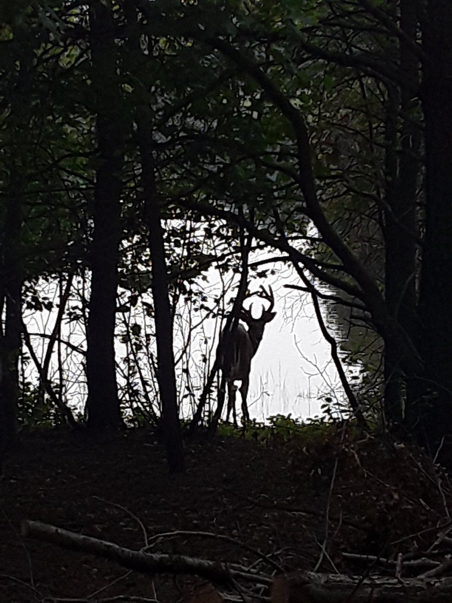 tepickarts's tweet photo. Some of my people. Nature never disappoints you. https://t.co/jN3jfzMyZX