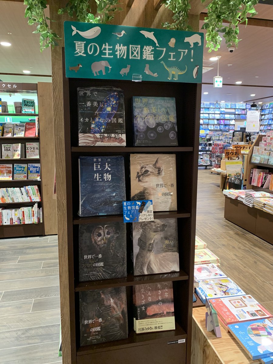蔦屋書店 高田西店 U5uvfxvhsw3dmz2 Twitter 蔦屋書店 高田西店 U5uvfxvhsw3dmz2 Twitter