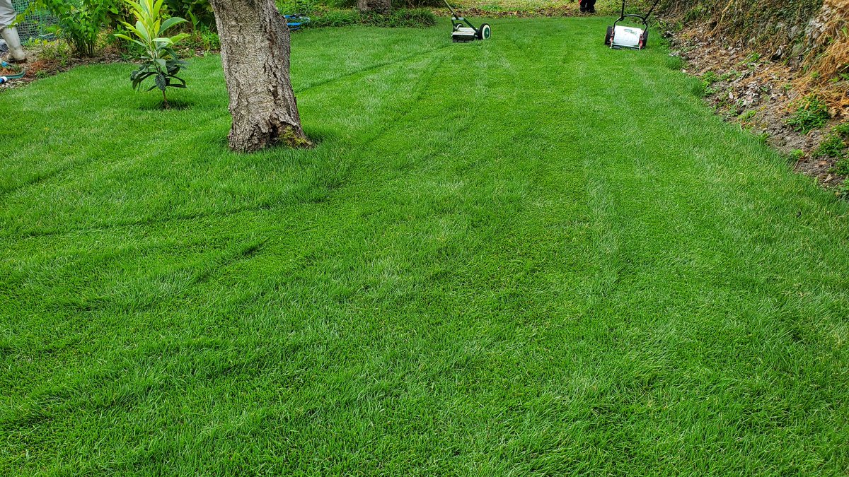 つりきっぷのガーデニング奮闘日記 Turikipp Twitter