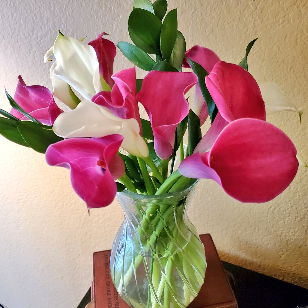 These beautiful Calla Lilys from @TheBouqsCo made my day! #thoughtfulgift #goodjobbrother #year17