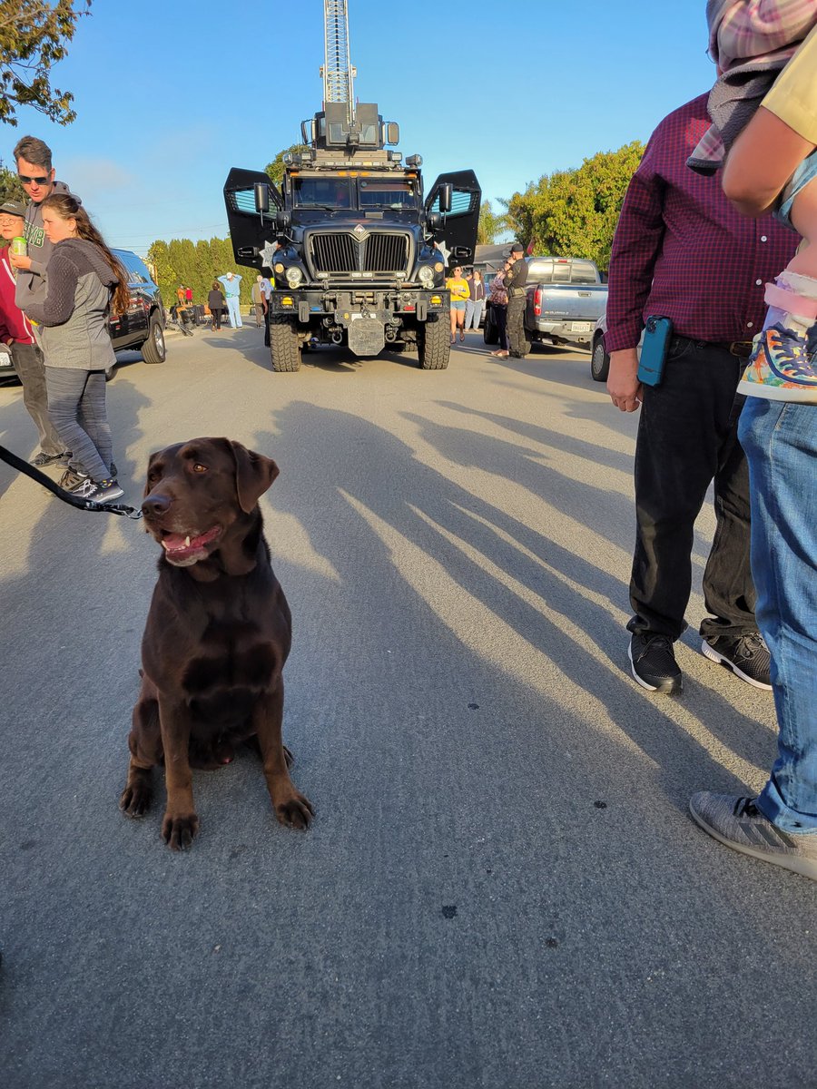 @snifferoakley is at National Night Out getting some head rubs