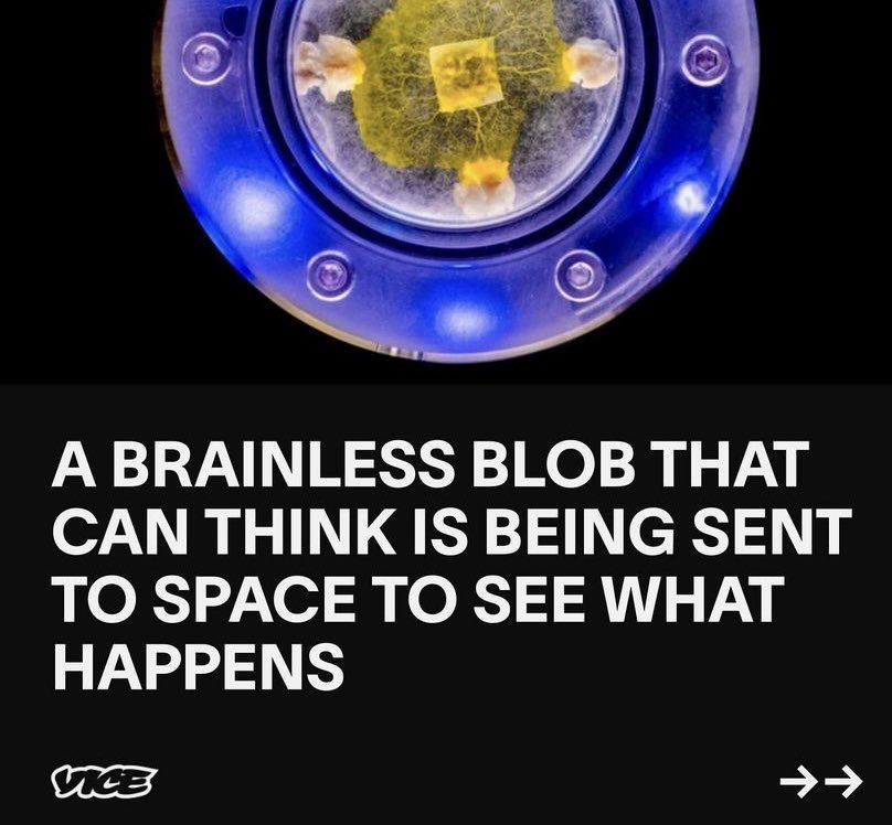 mark_menei's tweet image. First Branson, then Bezos….now Trump!