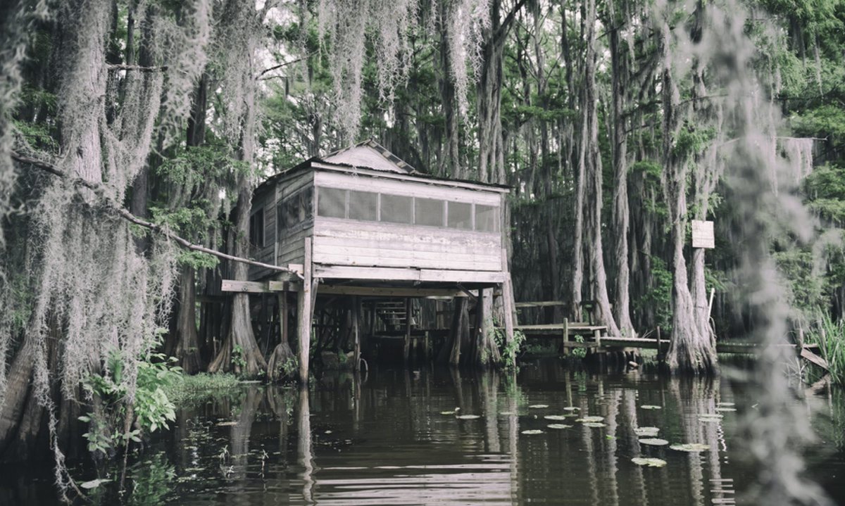 Болотная дом 2. Новый Орлеан болота Хижина. Штат Луизиана дома на болотах. Луизиана деревня. Деревня на болоте Луизиана.