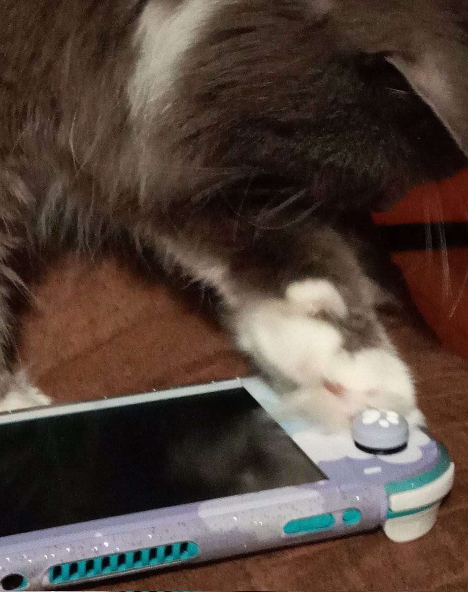 GeckoGalaxy's tweet photo. Tfw your cat is a better gamer than you. #gamer #weliveinasociety https://t.co/2JXtWEJHBG