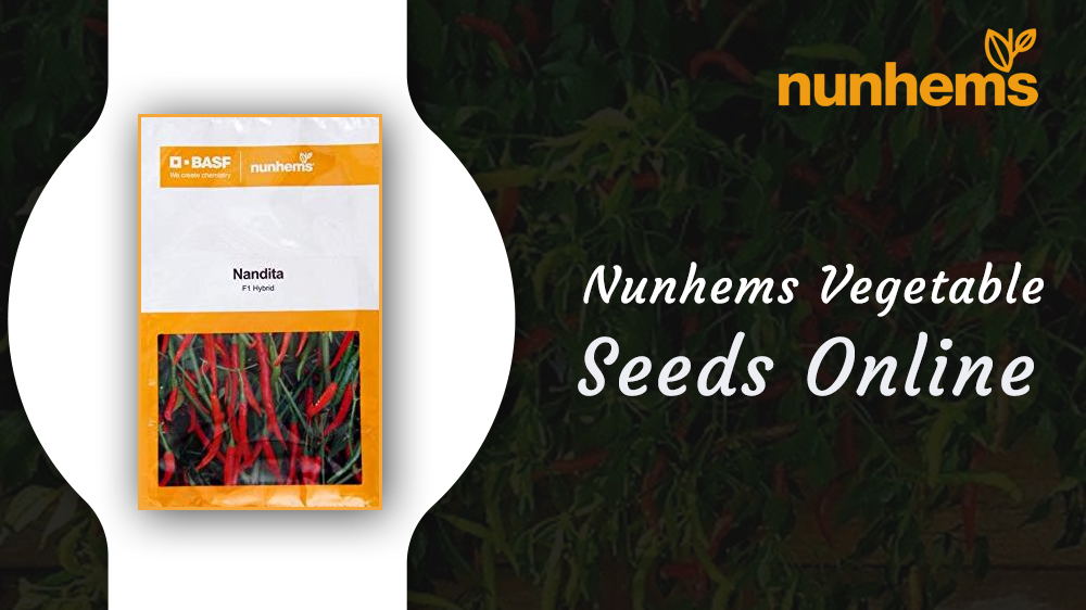 farmkeyIndia's tweet photo. #Nunhemsvegetableseeds can give you great results in #farming. You can these #highqualityseeds at a very low price on #Farmkey and make assured profits.

👉https://t.co/fWADlvUoah

#vegetableseeds  #farmersofindia #organicseeds #seeds #onlinestore #seedsstore https://t.co/zrsRnED4hq
