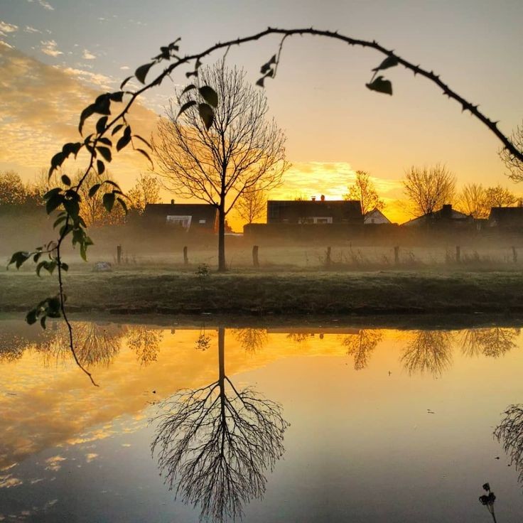 Yasir (@yasir54249138) on Twitter photo 