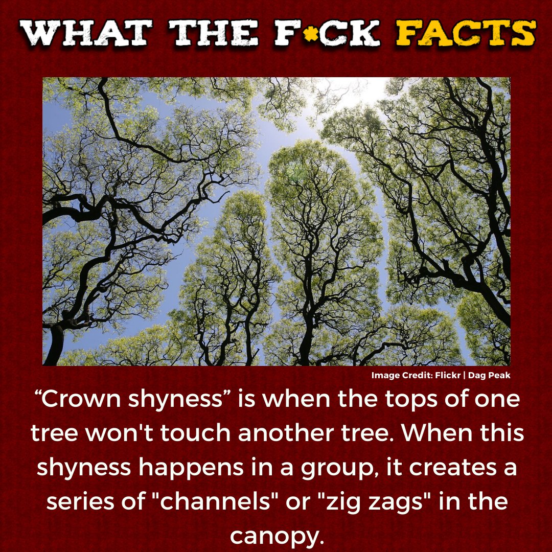 What The F*** Facts (@whattheffacts) on Twitter photo 