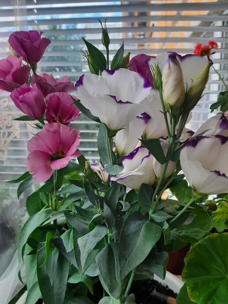 Нина tweet media