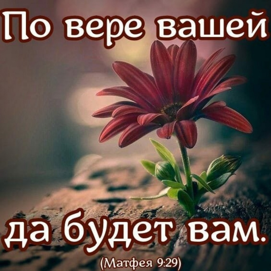 каждому дается по вере его. каждому будет дано по его вере. рукописи не горят. уступи дорогу дураку. каждому будет дано по его вере сочинение.