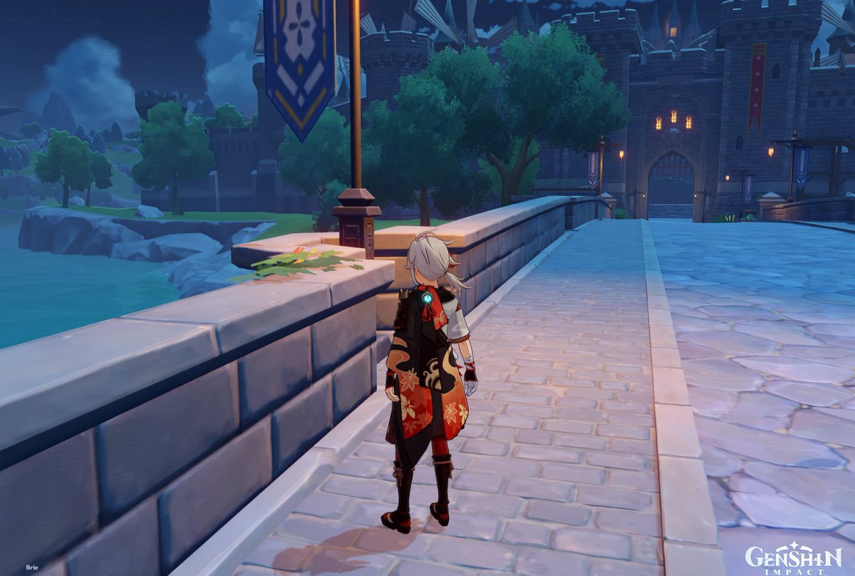 taegiminn's tweet photo. saw these vines (?) where timmie normally stands and for some reason my first thought was “is that a memorial for timmie??” i need sleep https://t.co/UwCNBFSrIY