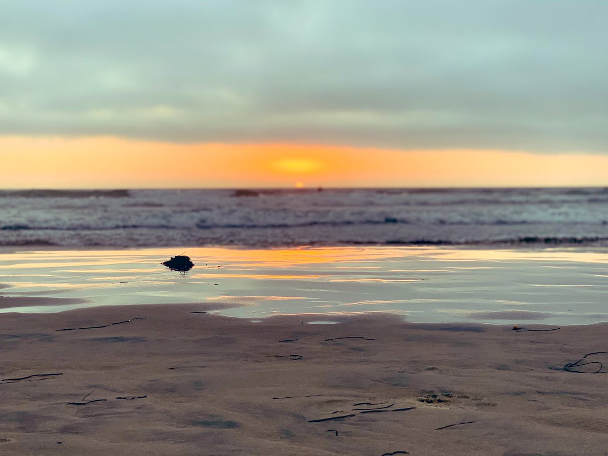 GabrielaDow's tweet image. Yes!!! 😎✨ #GoSanDiego #LaJolla