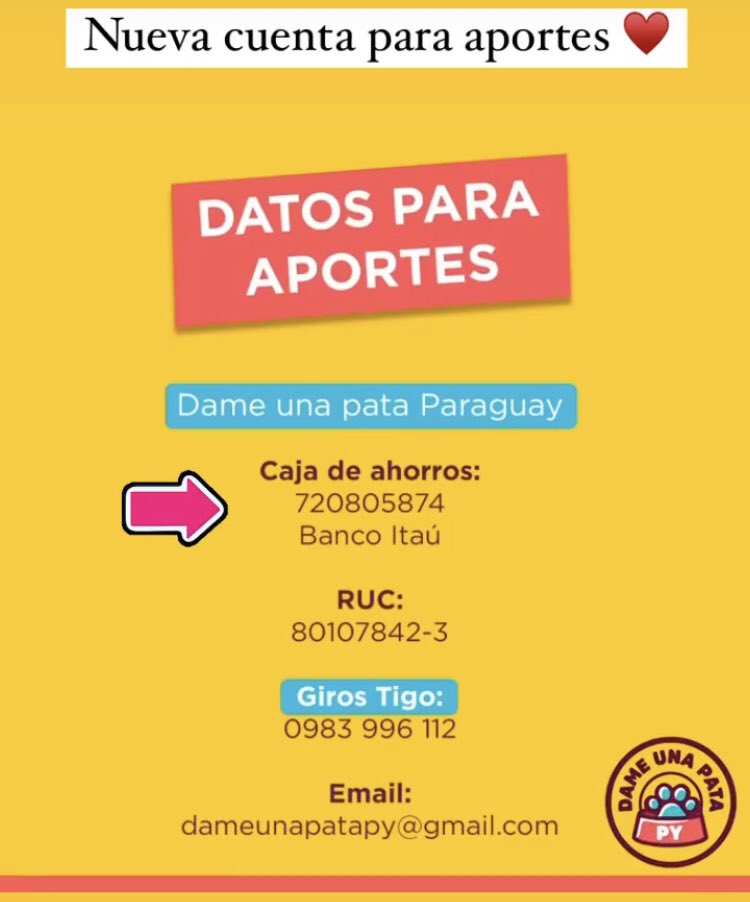 dameunapatapy's tweet photo. Amigos/as tenemos una nueva cuenta para aportes

Gracias a todos los que nos dan su apoyo ! 

🐱🥰🐶 https://t.co/gyaxx87ztC