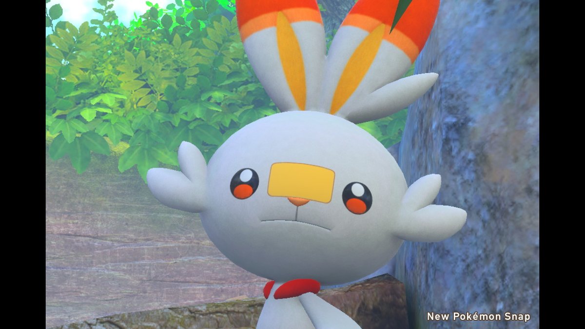 たびい V Twitter なにこの表情www ヒバニー可愛すぎて過呼吸止まらん Newポケモンスナップ Newpokemonsnap