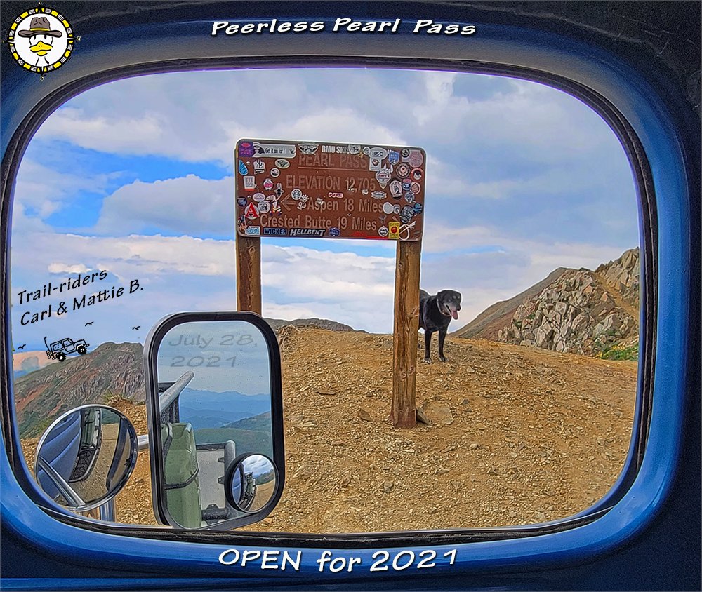 Bushducks's tweet image. PEARL PASS - OPEN for 2021!
Window seats filling fast 👀😍