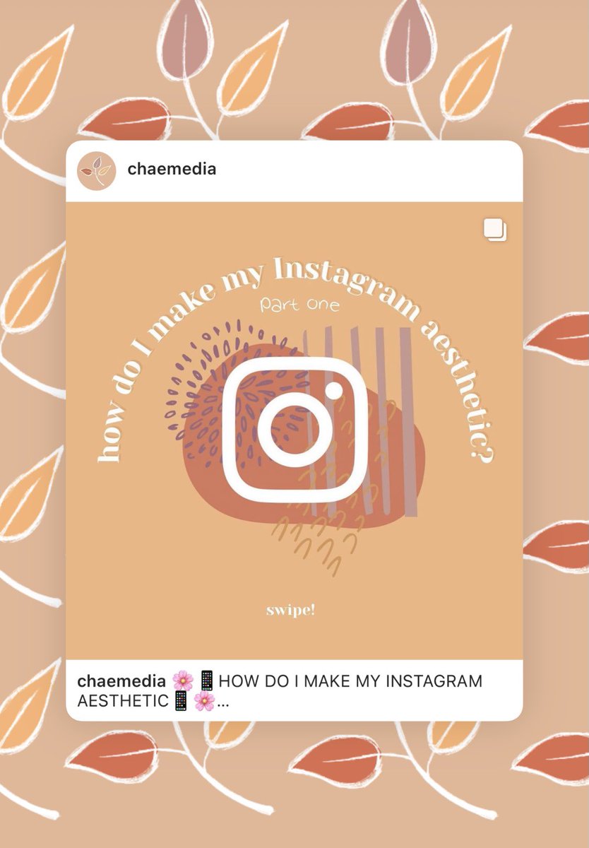 chaemedia_'s tweet photo. check out our insta to find out how to make your insta aesthetic!! 🌿💭

#bcm111 #bcm114 #bcm215 #bcm241 #bcm206 #bcm303 #bcm302 https://t.co/2bSBlDsUQy