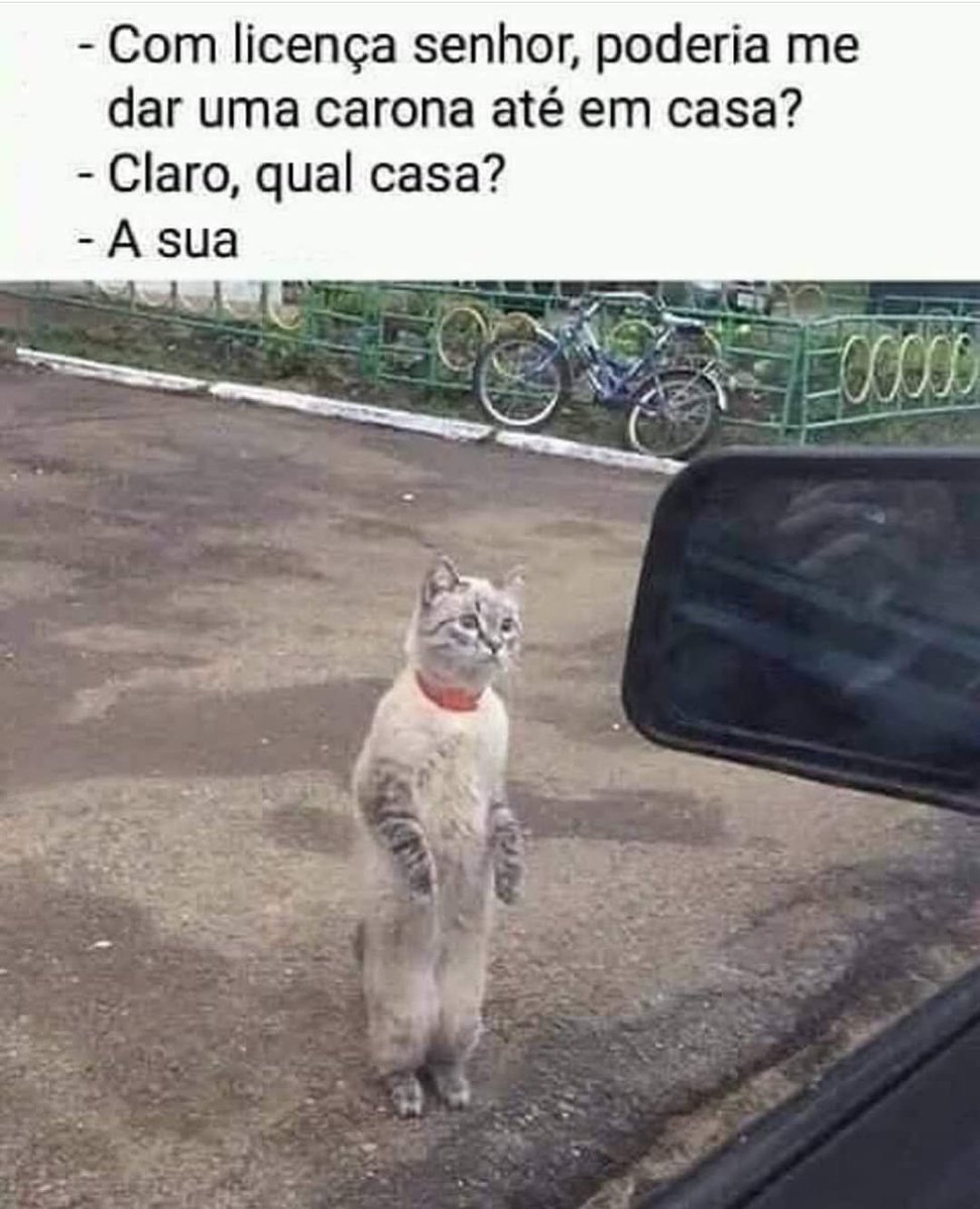 GatoConfuso's tweet photo. https://t.co/TjMXdS3QwU
