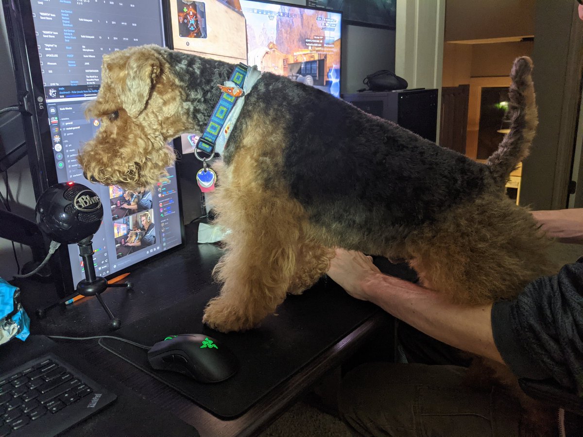 megaskaterboy's tweet photo. Gamer boi <3 https://t.co/ixXdiq5csm