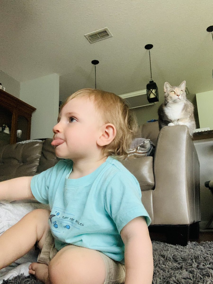 CamryBrooke's tweet photo. A story in 4 parts. We went from two socks, to one. From watching the Wiggles, to jungle gym💕 Aunt life is the best life🥰 https://t.co/KaqmxC96tu