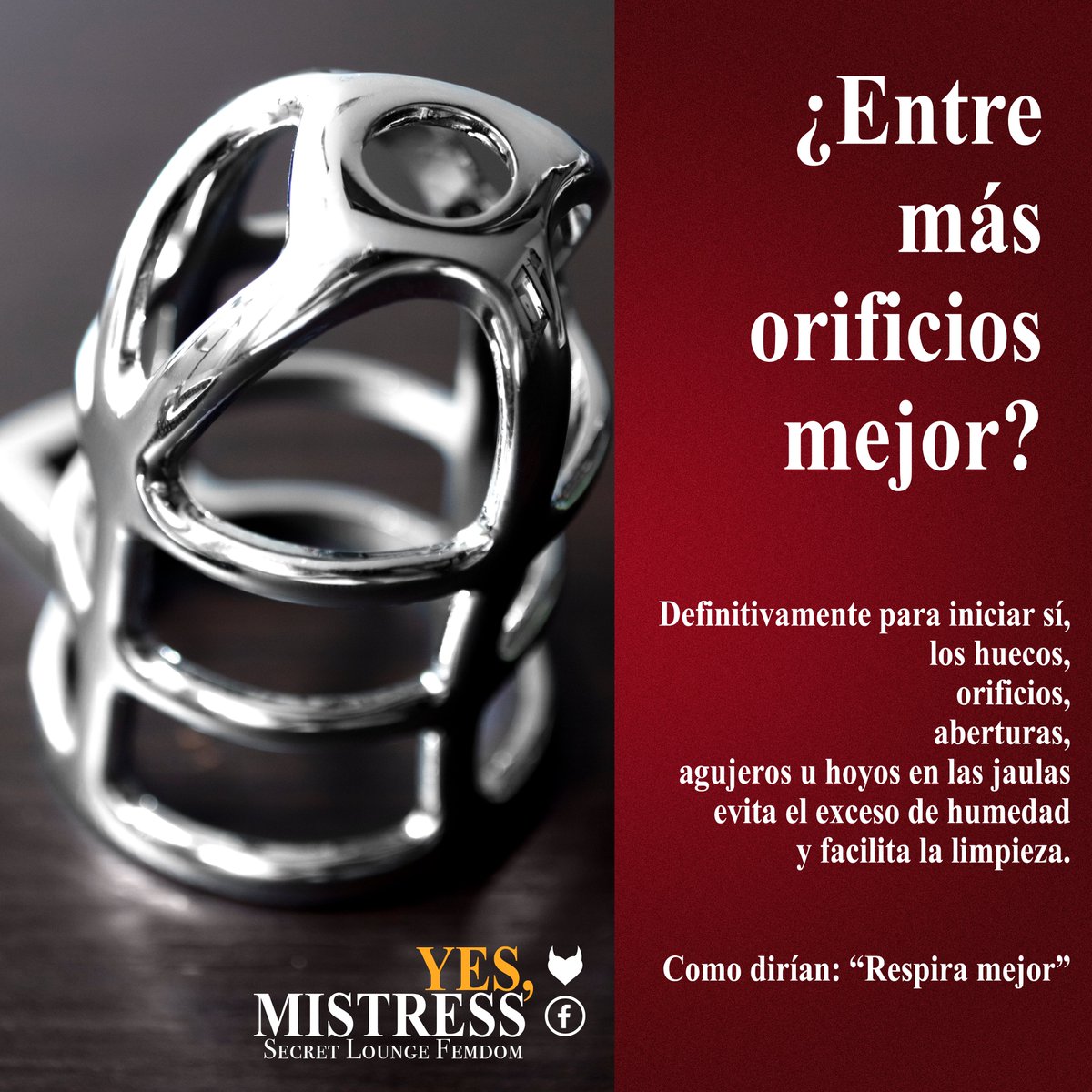 SecretLoungeFem's tweet photo. Estos tips se concluyen con base en las experiencias de los asistentes a las charlas privadas de Yes, Mistress (Fb y fetlife).
Pronto tendremos la segunda como parte del ciclo inchastity/KeyHolder.🔑

¡Aportes bienvenidos!
#FLR
#SecretLoungeFemdom
#YesMistress
#BDSM
#ChastityCage https://t.co/xyVAqtBICA