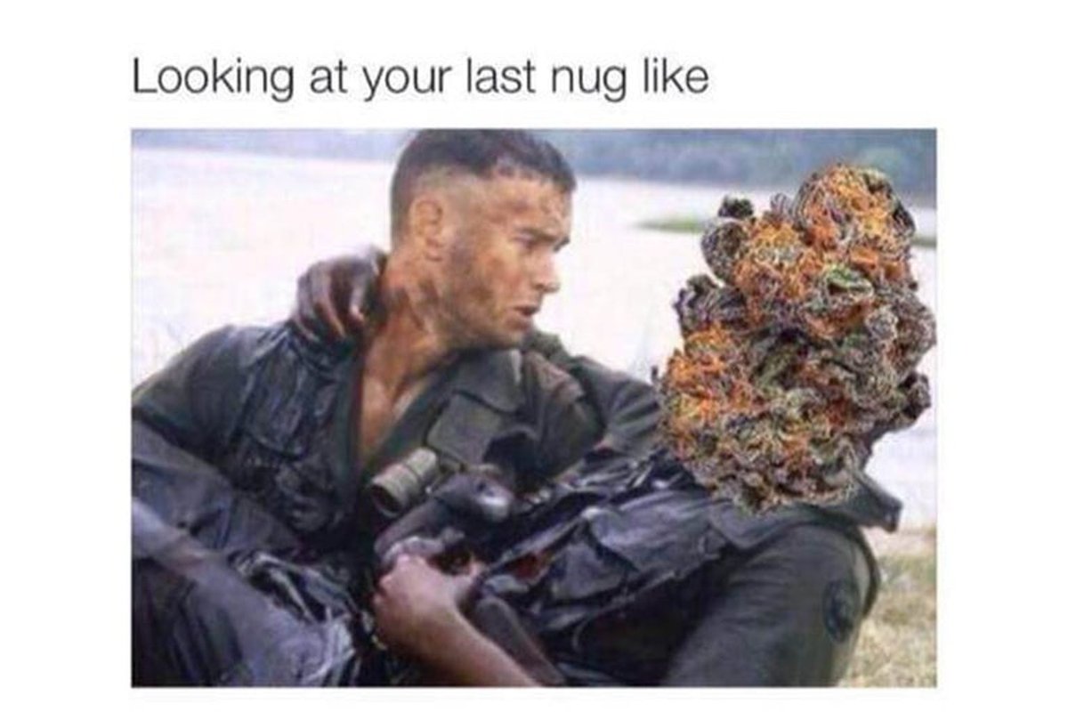gotweedcanada's tweet photo. Don’t run out! View our freshest buds here: https://t.co/l6CoX6k1Tn 
#gotweedcanada #weedmemes https://t.co/t7HEA82Ost