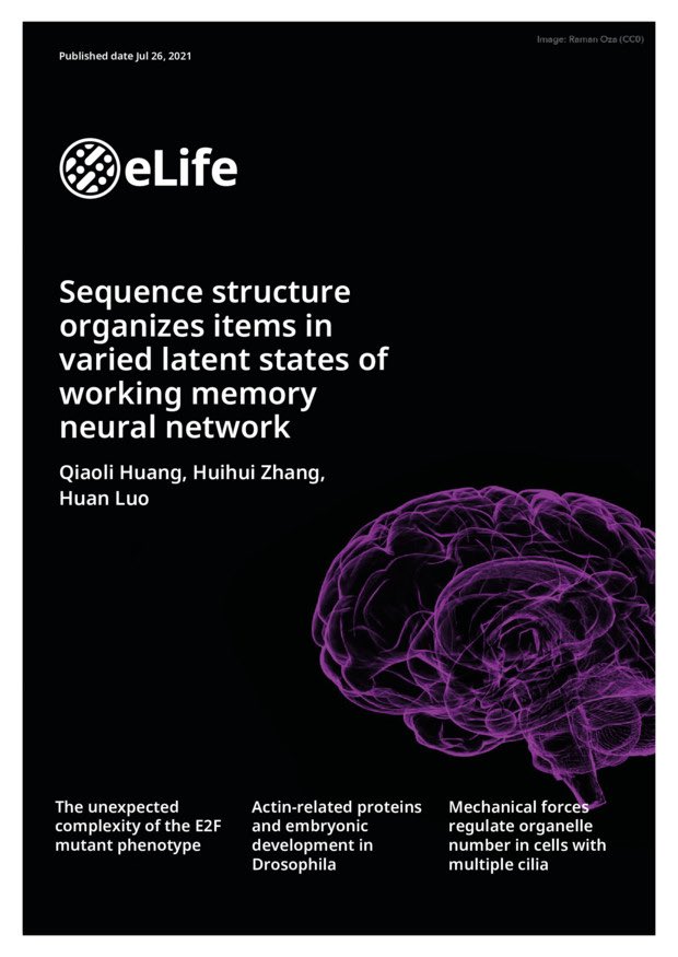 Huan Luo (@luohuan_huan) on Twitter photo Exciting that our sequence WM work finally came out! Two MEG studies show that items located in different sequential positions reside in varied latent states of WM network. Big congrats to <a href="/huang_qiaoli/">Qiaoli Huang</a> <a href="/Hui_Hui_Zhang/">Huihui Zhang</a> for years of efforts! See: elifesciences.org/articles/67589. Exciting that our sequence WM work finally came out! Two MEG studies show that items located in different sequential positions reside in varied latent states of WM network. Big congrats to <a href="/huang_qiaoli/">Qiaoli Huang</a> <a href="/Hui_Hui_Zhang/">Huihui Zhang</a> for years of efforts! See: elifesciences.org/articles/67589.