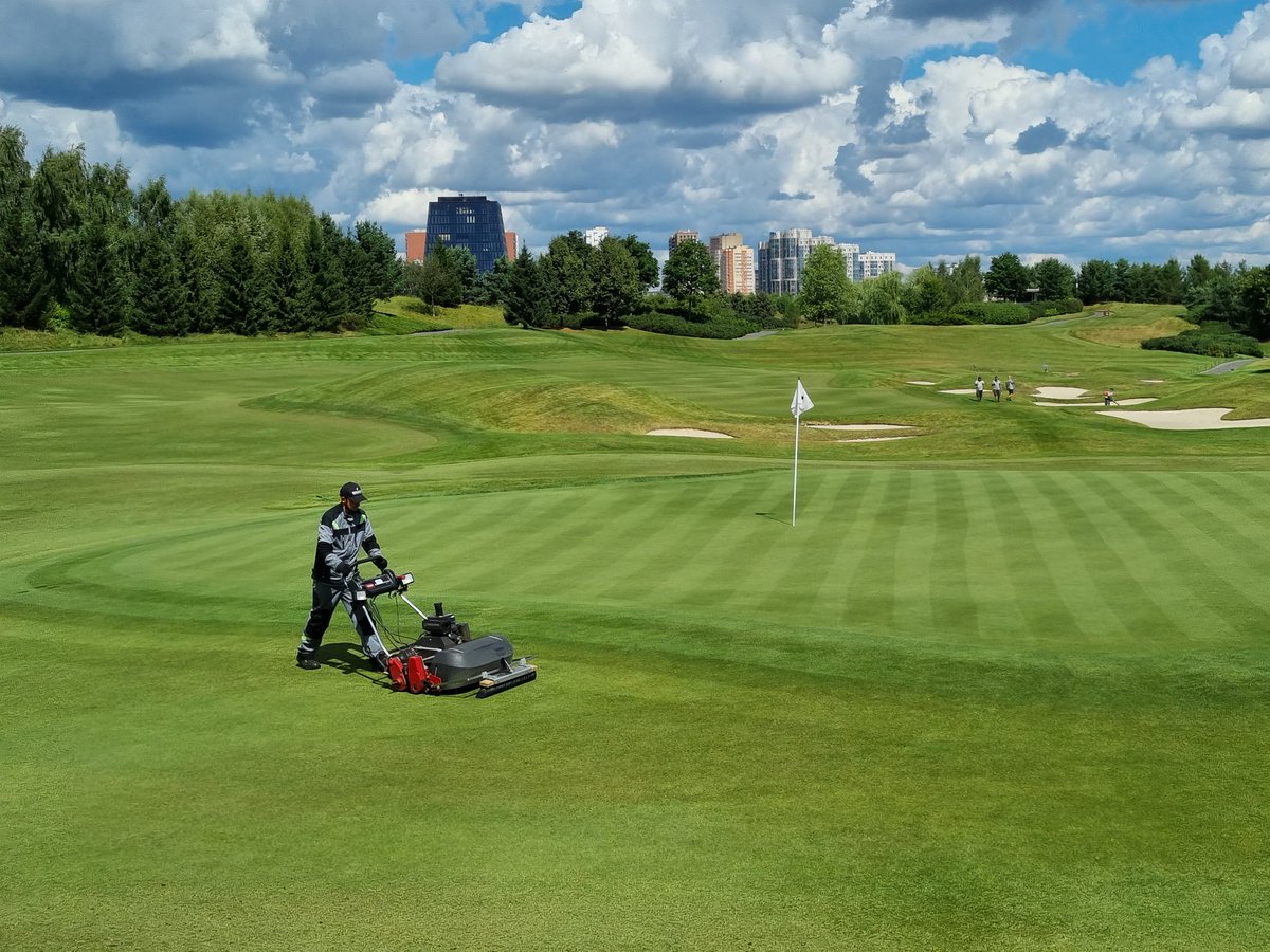It's been the third year of active using brushes from <a href="/DoctorBrush/">Turf Science Inc</a>. Still amazed at how good they are