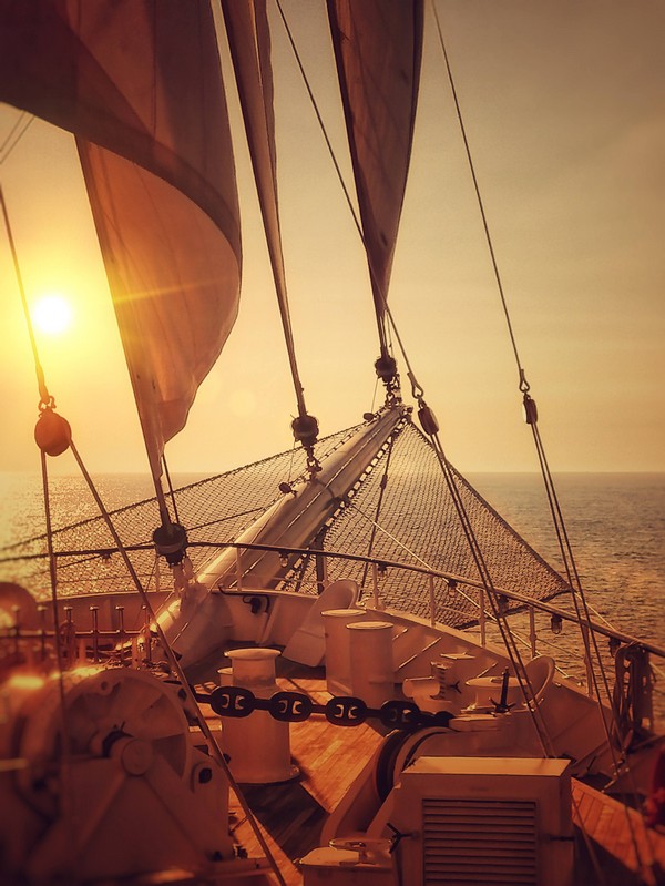 LuxuryCruiseCo's tweet photo. Wish you were here? Read our exclusive #cruise #review of the worlds largest sailing ship - Golden Horizon - and see our exclusive photos too! https://t.co/LBWp16EKBh @TradewindVoyage #SeeGolden #GoldenHorizon #Ship #Yachting #travel #wanderlust #trip #sea https://t.co/wfQyO7tTZ8
