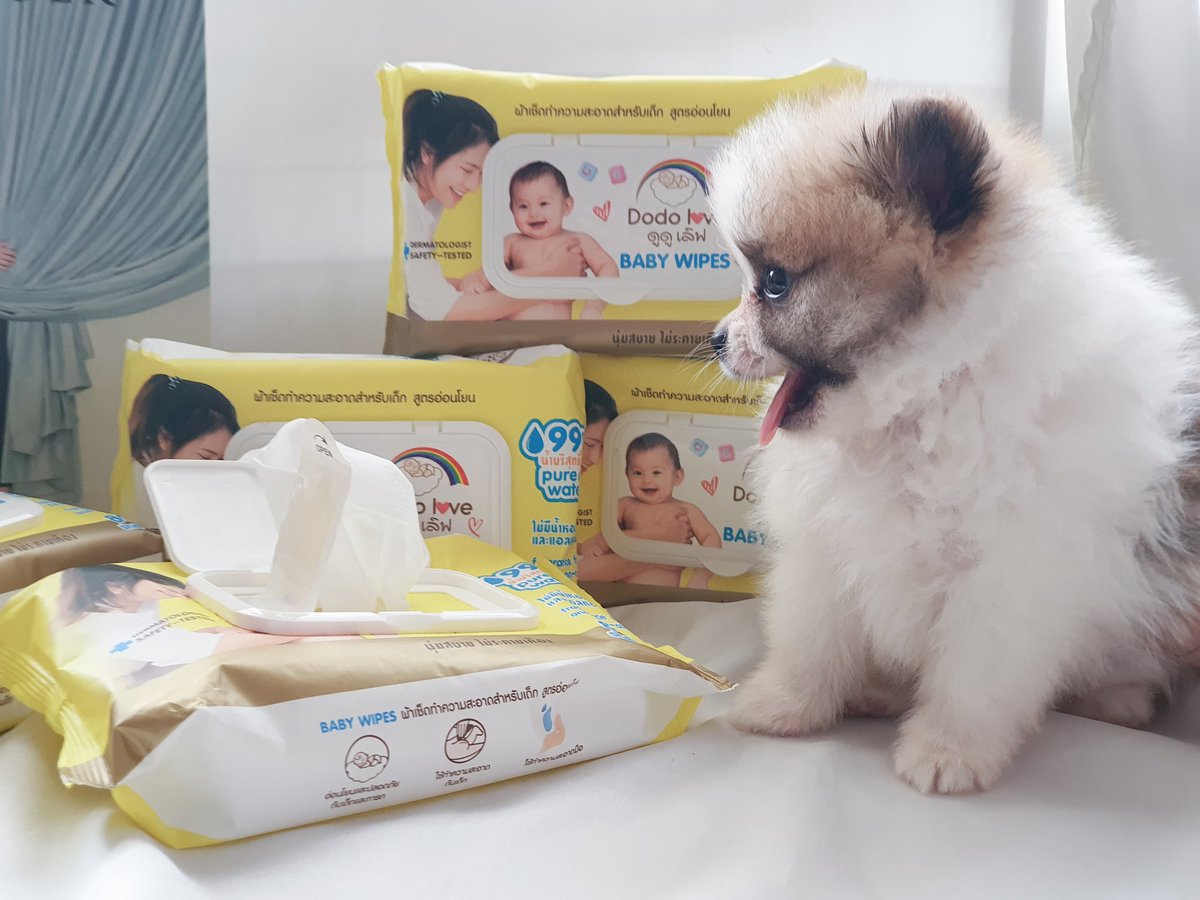 nunnunyellyy's tweet photo. อันนี้ดี #DODOLOVE Cleansing Wipes เป็นทิชชู่เปียก ที่เราใช้บ่อยมาก เพราะมันอเนกประสงค์ดี เช็คได้ทุกสิ่ง แผ่นแบบผ้าเนื้อนุ่ม เก็บง่ายหยิบสะดวก สูตรอ่อนโยน บ้านไหนมีเด็กเล็กนุ่นแนะนำเลย สะอาดปราศจากเชื้อโรคยุคนี้ควรมีติดบ้าน
📍พิกัด https://t.co/P1Xg6rU5WP 
#รีวิวช้อปปี้ #ถูกและดี https://t.co/JYeQANrx8n