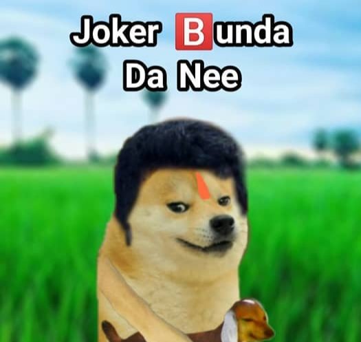 Doge meme  Wikipedia