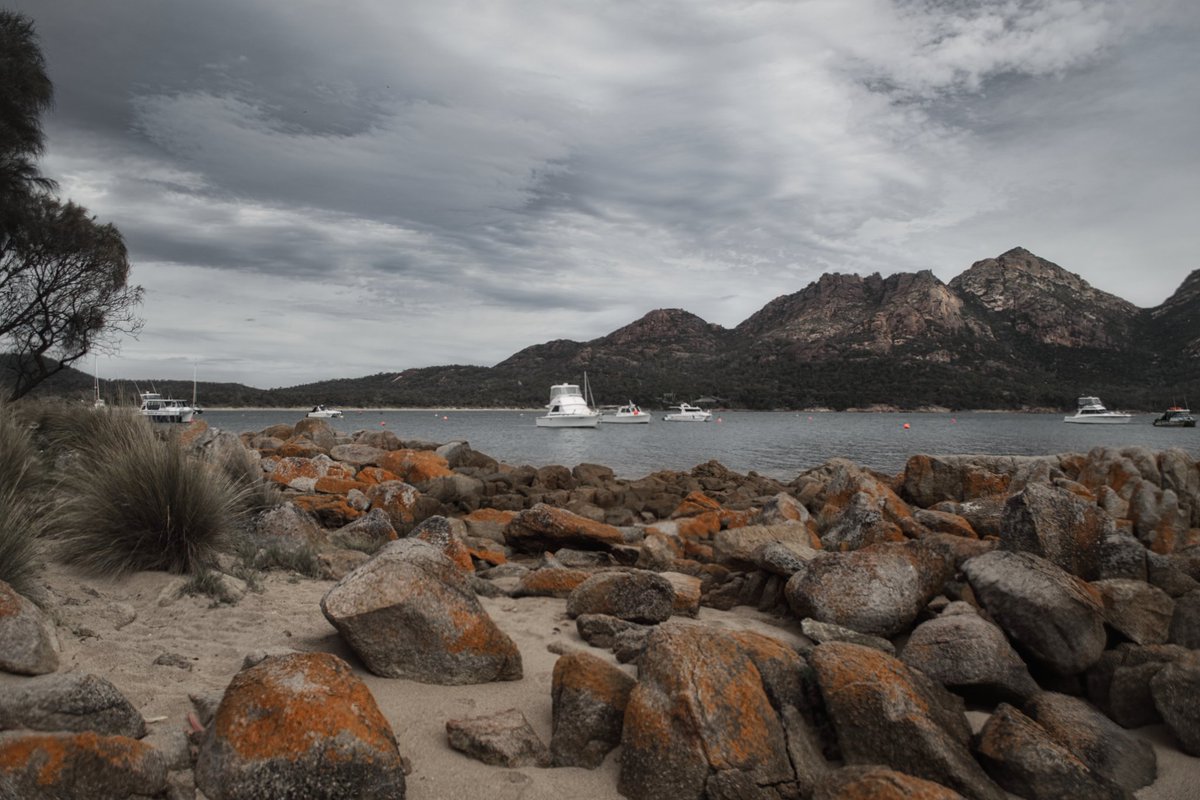 BrownlieMarc's tweet photo. Coles Bay, Tasmania. #Tasmania @tasmania https://t.co/dPpX5YkMDl