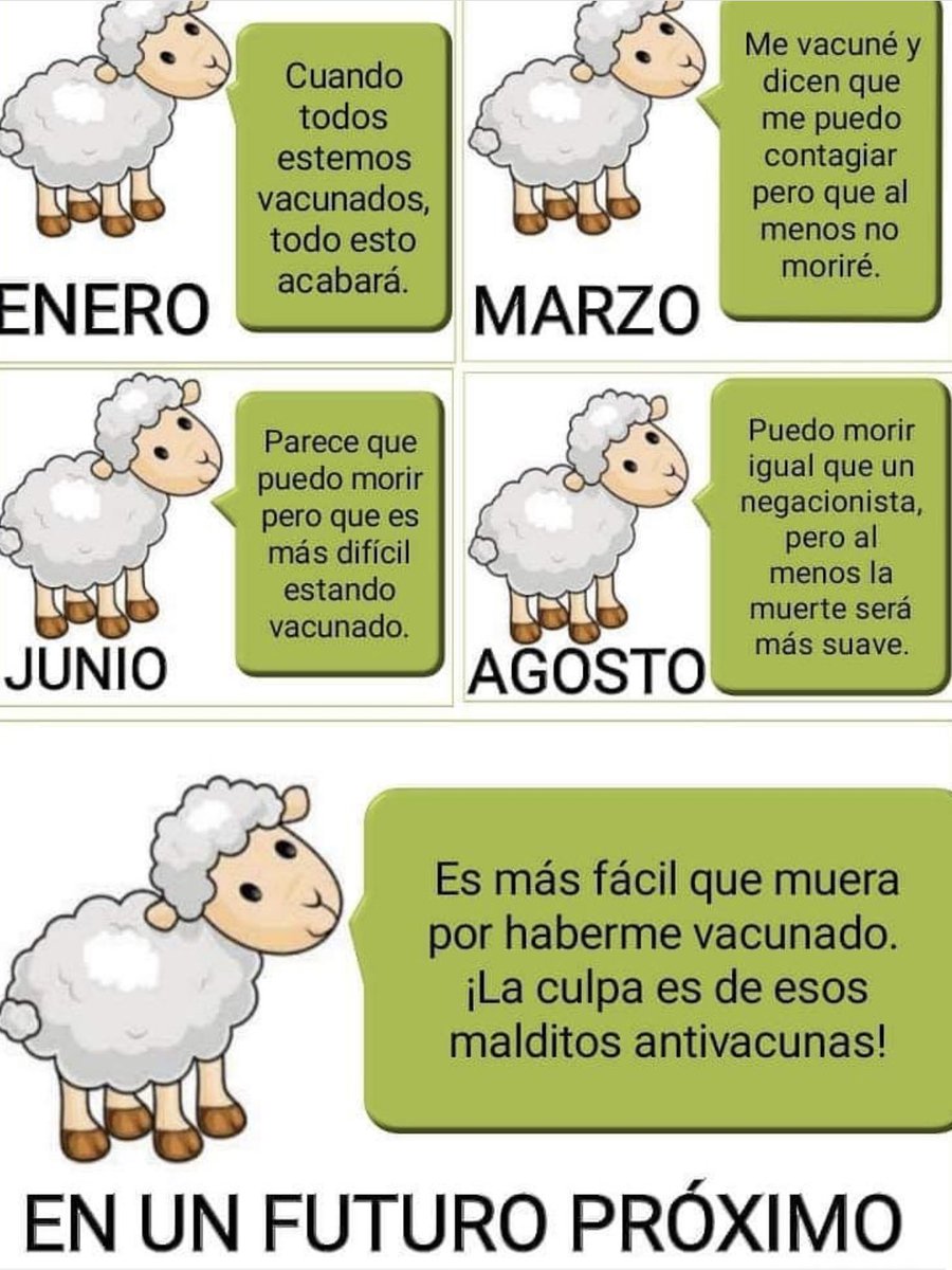 montarazab's tweet photo. DIARIO DE UN LANUDO. https://t.co/ItOQjYddqY