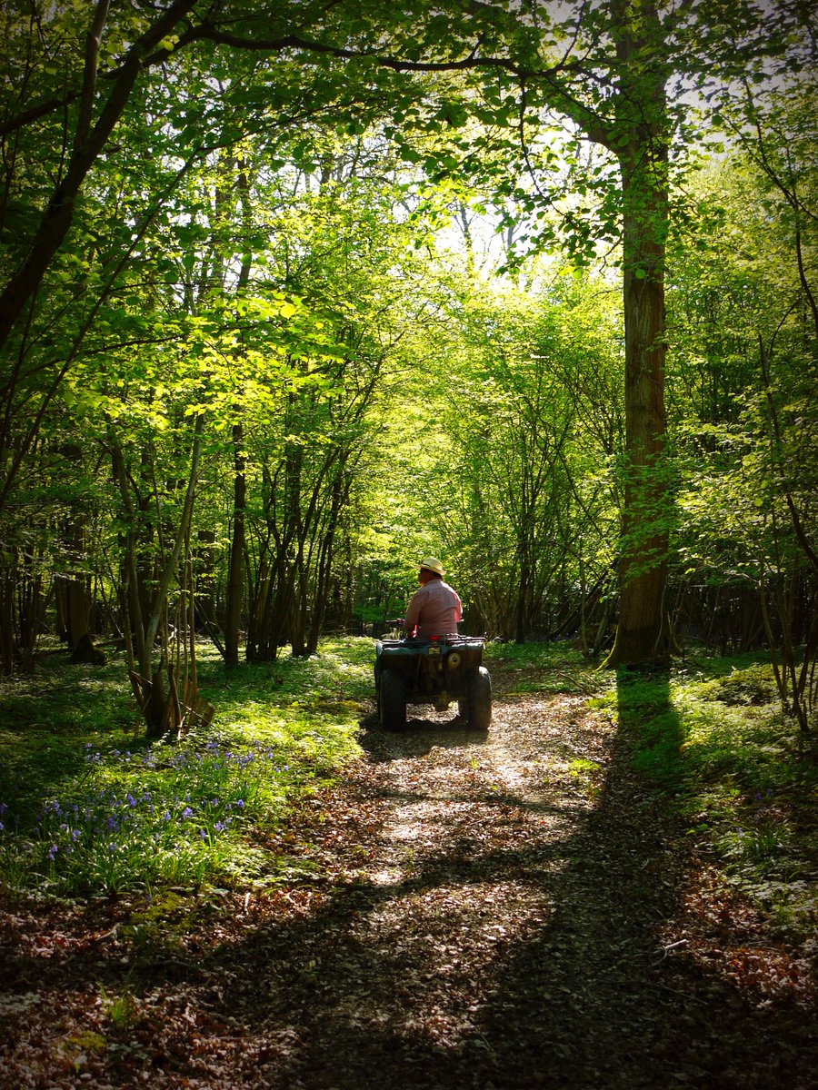 BluebellWines's tweet photo. We pride ourselves on estate grown grapes, all our wines are produced this way. Having full control of the vine's full lifecycle, therefore, maintaining the estate, is fundamental to producing the best grapes and resulting in award-winning wines.
#vineyard #hindleap #sussex https://t.co/xaIHrPVNfy