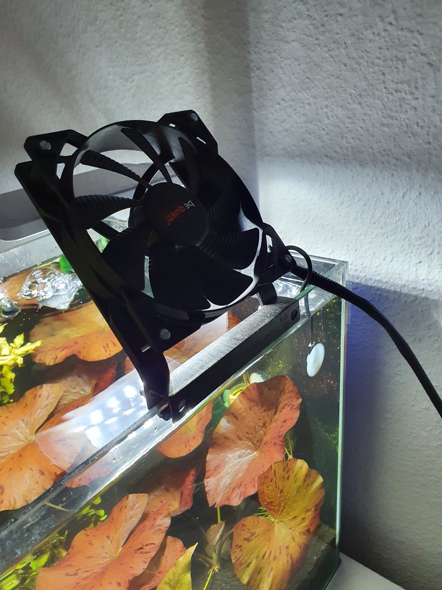bequietofficial's tweet photo. Let it be known that our fans can do more than "just" keep your PC case and CPU cool!
Thanks a lot to Theo Funke (https://t.co/PxmPUtbWuj) for the idea and the pics!
#bequiet #PureWings2 #ElFish https://t.co/ocVbgbSK50