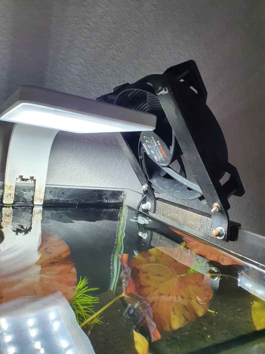 bequietofficial's tweet photo. Let it be known that our fans can do more than "just" keep your PC case and CPU cool!
Thanks a lot to Theo Funke (https://t.co/PxmPUtbWuj) for the idea and the pics!
#bequiet #PureWings2 #ElFish https://t.co/ocVbgbSK50