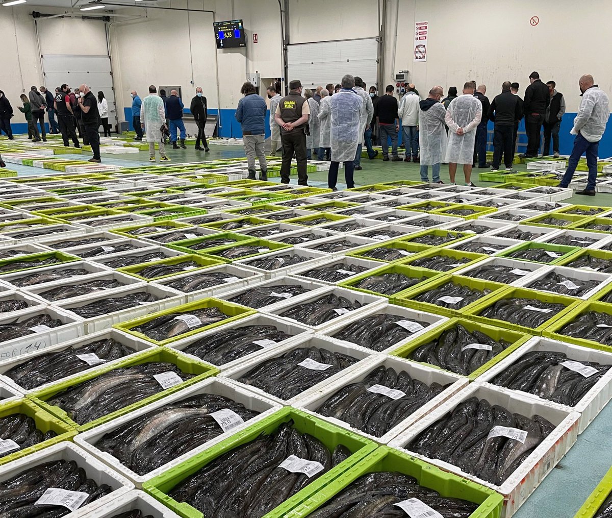 oppburela's tweet photo. La conselleira aprovechó esta visita, habitual cada verano, para compartir opiniones con el resto de compradores, exportadores y representantes de la flota local.
#OPPLugo #OPP07 #ABSA #Lonja #Subasta #Pescado #Pesca #Mar #Lugo #Burela #Galicia #BonitodeBurela #MerluzadeBurela https://t.co/wvD5QURY5B