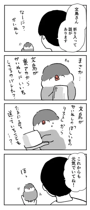 文鳥さんは存在自体がギフト 