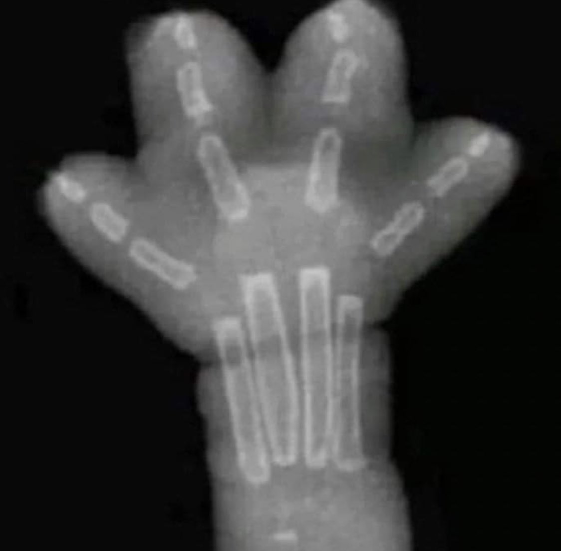 Jeno (.◜◡◝) (@jenoperhour) on Twitter photo 