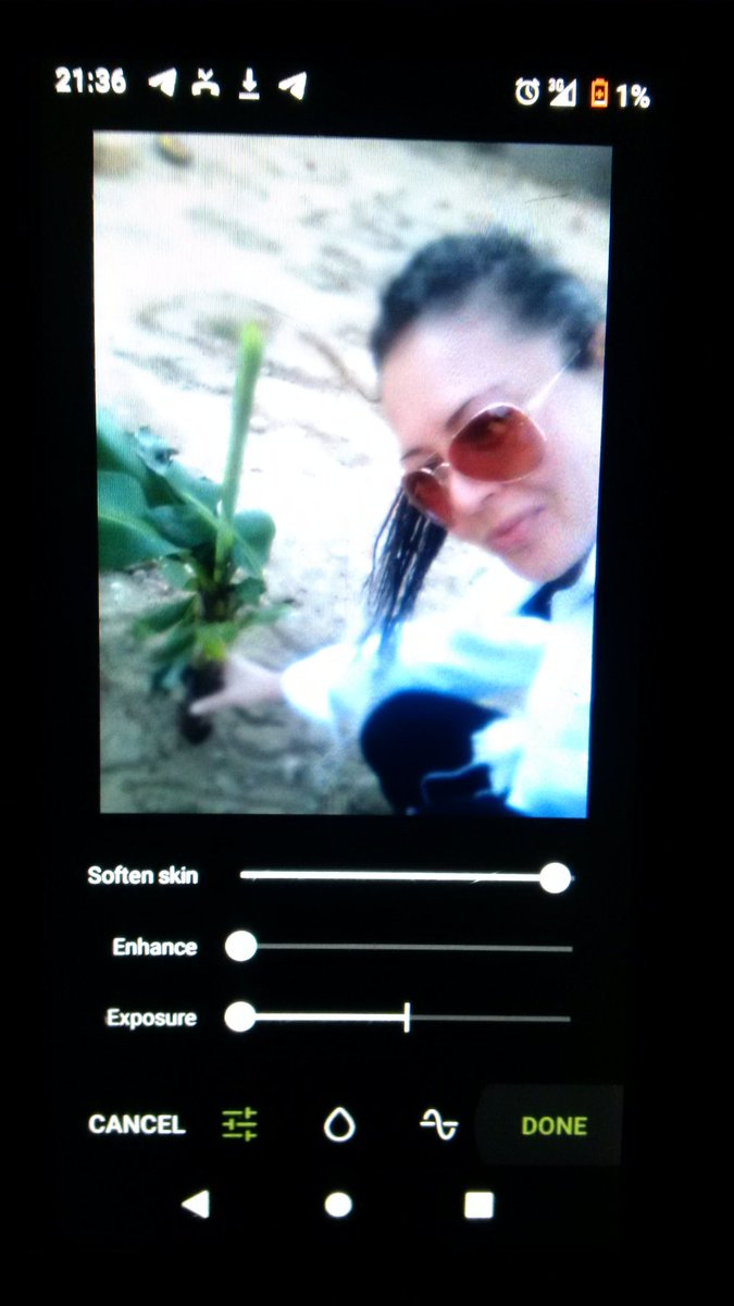 christinaj10x's tweet photo. Have a Double Blessing Day #TallLOVEwalkers Coconut Palms and Banana Trees . .✍️ `C #ChristinaJHEROICISShows ™ #EPICA #EPIC #2021 #EraDecades #Nature #TheAnimalKingdom #Planet #Earth #MOÇAMBIQUE 🌴 https://t.co/nNkeuA0aUa