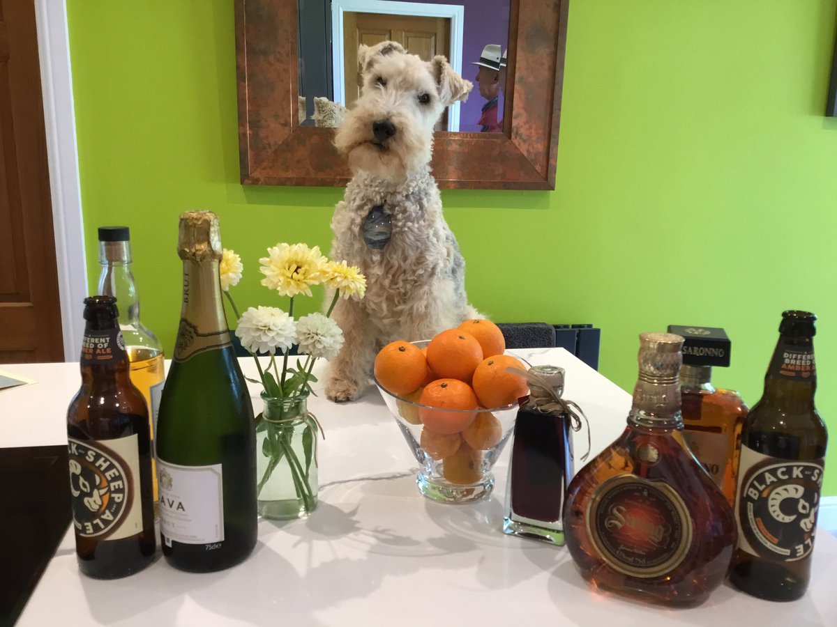 Hey @patchterrier here’s my contribution A Bar at Folies Bergère #Manet famous painting recreated #dogsoftwitter #summerfun #dogsdoart #CourtauldGallery @BlackSheepBeer