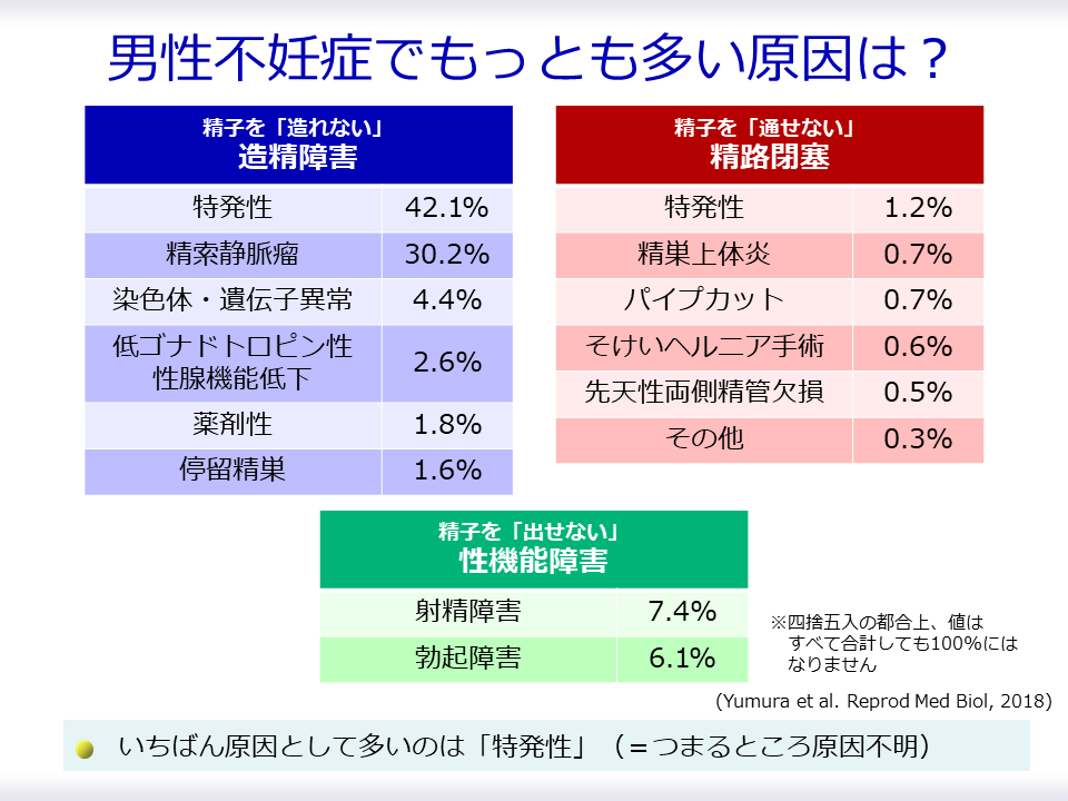 【男性不妊症の原因】

男性不妊症の原因にはいろいろありますが、

　①精子を造れない → 造精（ぞうせい）障害
　②精子を通せない → 精路閉塞
　③精子を出せない → 性機能障害

の3つに集約されます

それぞれ治療方針が異なります