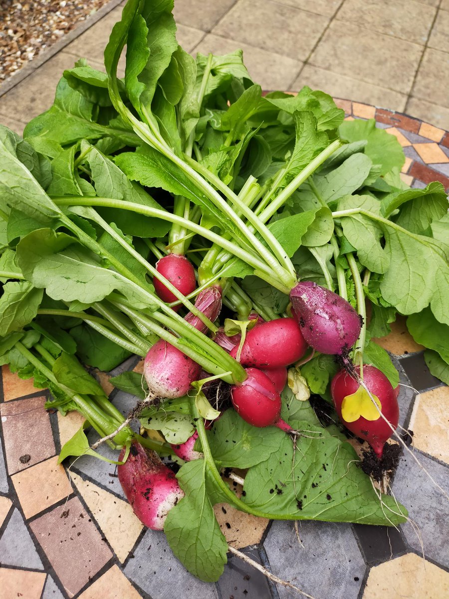 The Connection at St Martin's tweet media