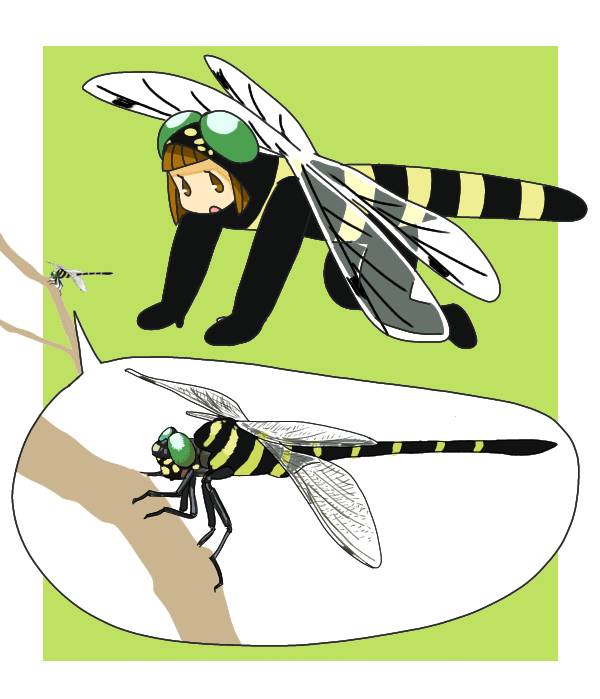 みう オニヤンマ ついに禁断の虫着ぐるみ 笑 トンボの目はいくつあるでしょうか 答えは約2万個 空中でスズメバチすら捕食するオニヤンマはまさに昆虫の王者 格好良い キグルミちゃんもうっとり キグルミちゃん T Co Xtitxv5epy みう オニヤンマ ついに禁断の虫着ぐるみ 笑 トンボの目はいくつあるでしょうか 答えは約2万個 空中でスズメバチすら捕食するオニヤンマはまさに昆虫の王者 格好良い キグルミちゃんもうっとり キグルミちゃん T Co Xtitxv5epy