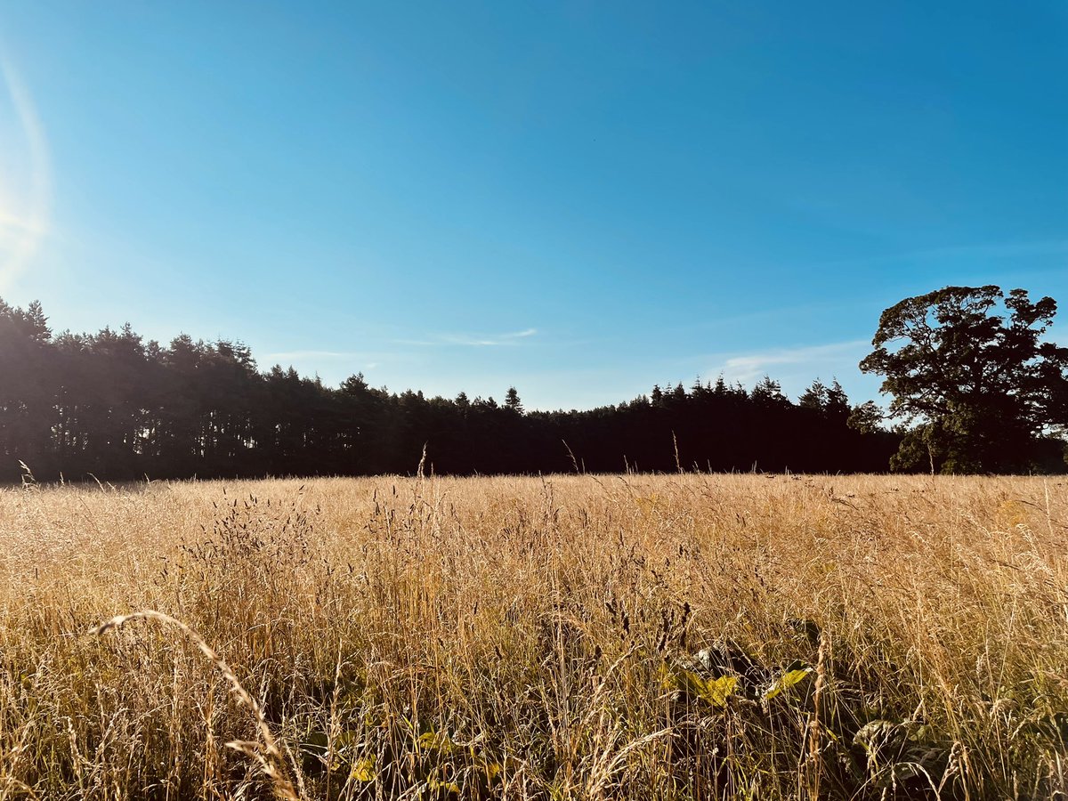 Alyson Walker tweet media