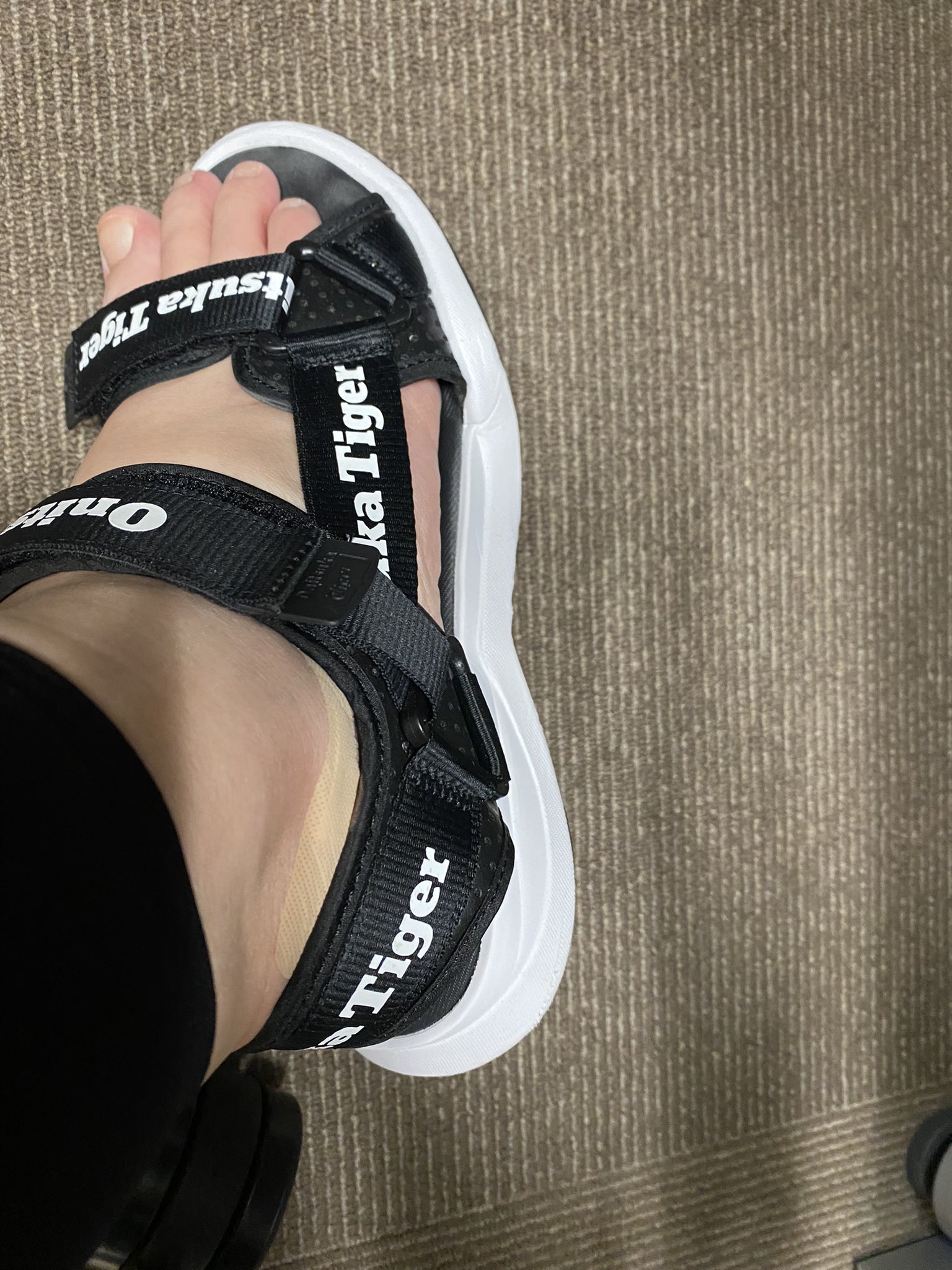 さかい蜜柑 新しい靴を今朝おろした 数年ぶりくらいでのスポーツサンダル 足指骨折の時以来か くるぶしの下が当たって靴擦れ 靴に噛まれる お約束 T Co Twmfr5ni8m Twitter