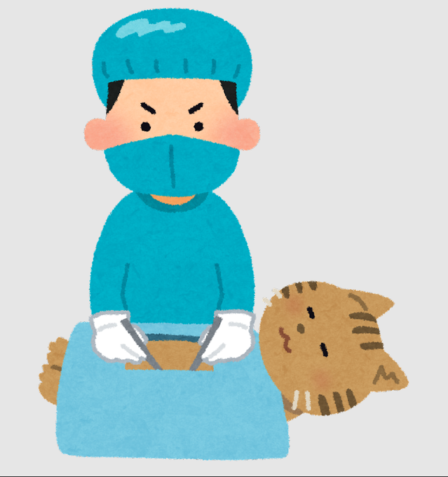 避妊手術のtwitterイラスト検索結果 避妊手術のtwitterイラスト検索結果