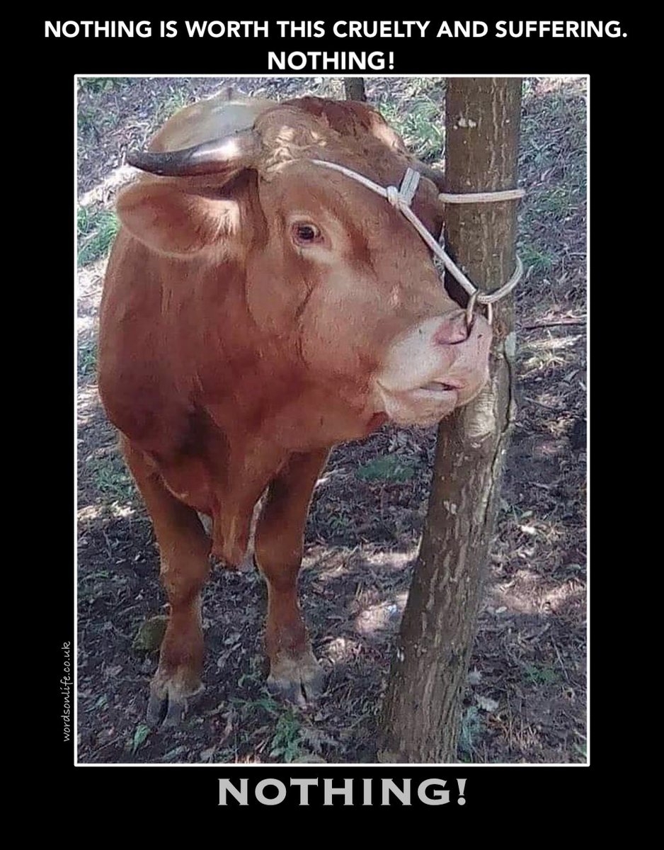 Angie KaranⓋ🌱 tweet media